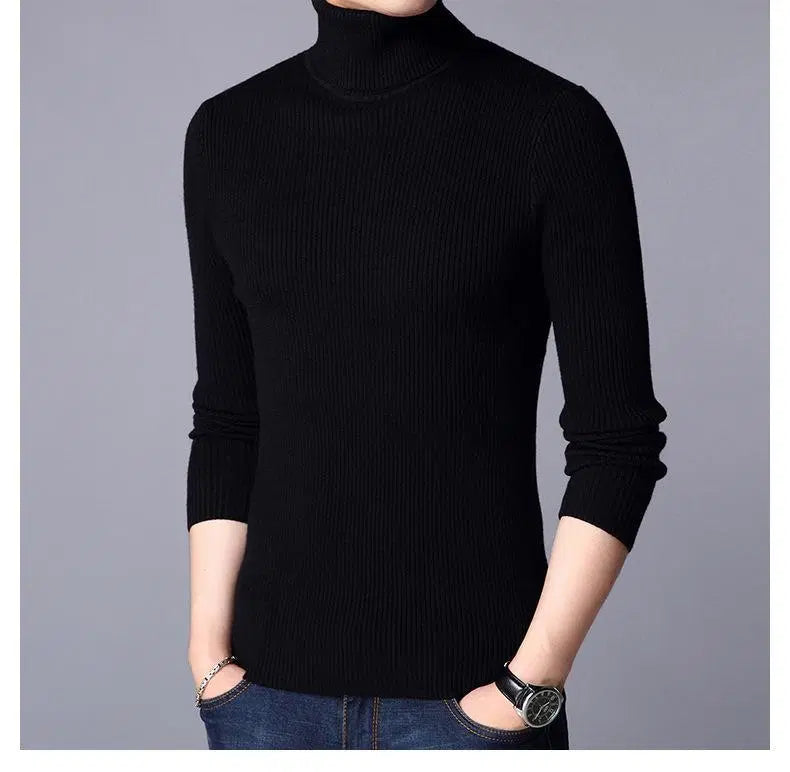 1 Pc Men's Ribbed Plain Highneck